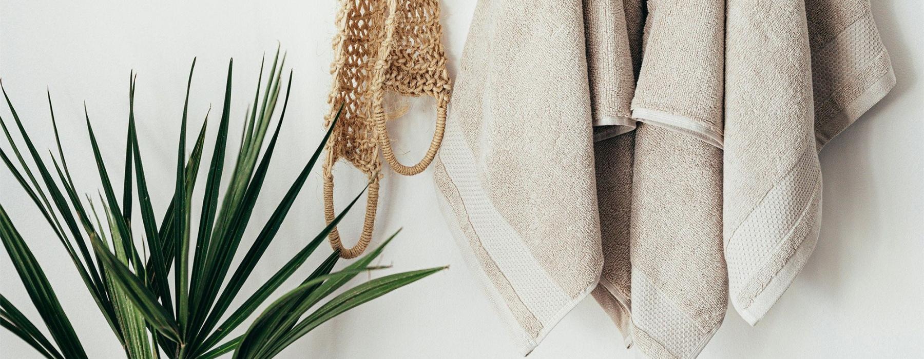 towels hanging on a wall near a plant